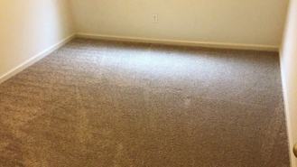 1014 Arbor Dr #1 - Photo 1 of 1