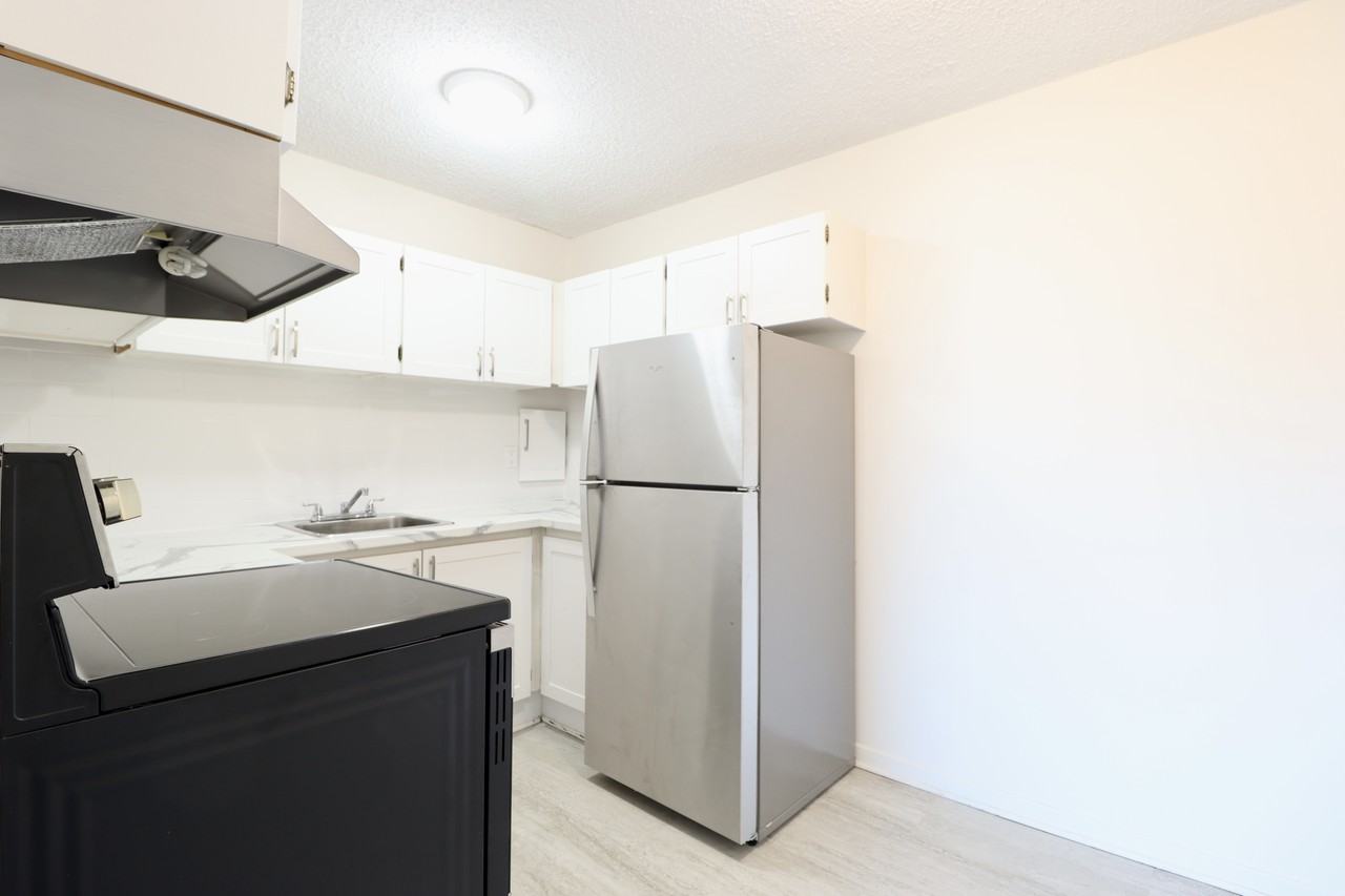163 MacLaren St - Photo 7 of 13