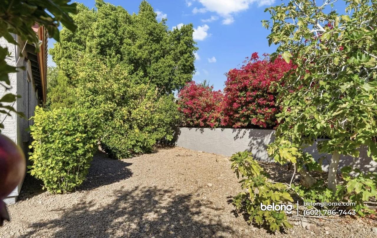 15510 E Sycamore Dr - Photo 4 of 37