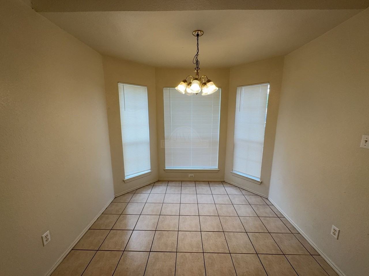 1604 Grey Fox Trl - Photo 4 of 22