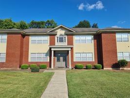 featured image of 3709 Le Bron Rd