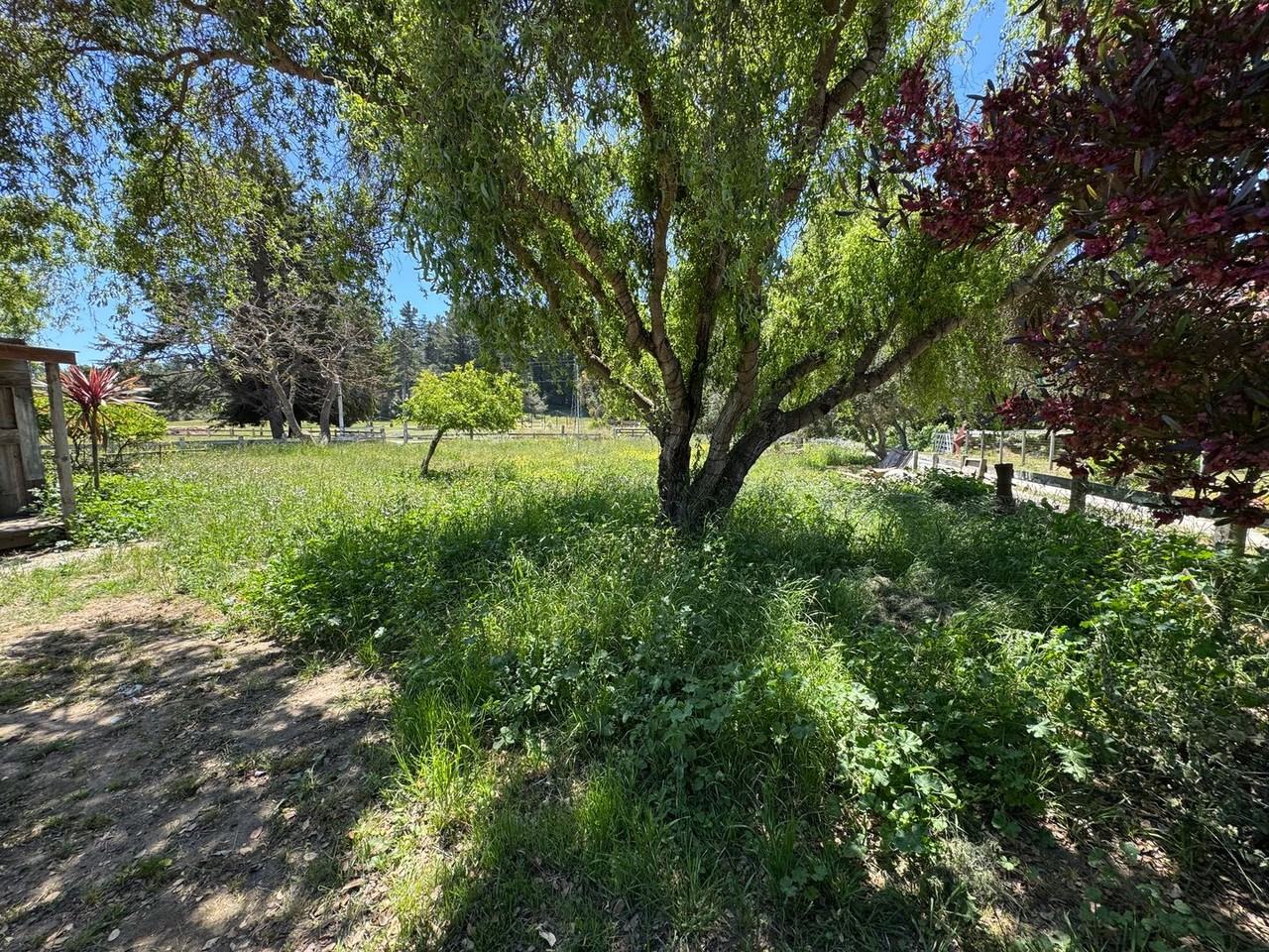 640 Peaceful Valley Dr - Photo 4 of 28