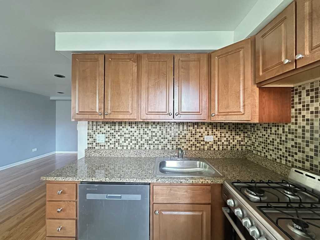 5818 N Sheridan Rd #P301 - Photo 3 of 20