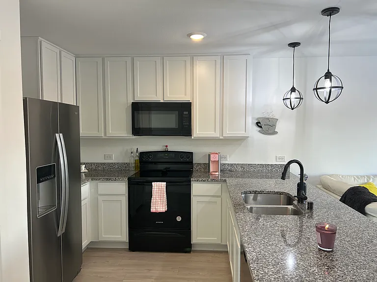 910 Wood Stork Way - Photo 5 of 20