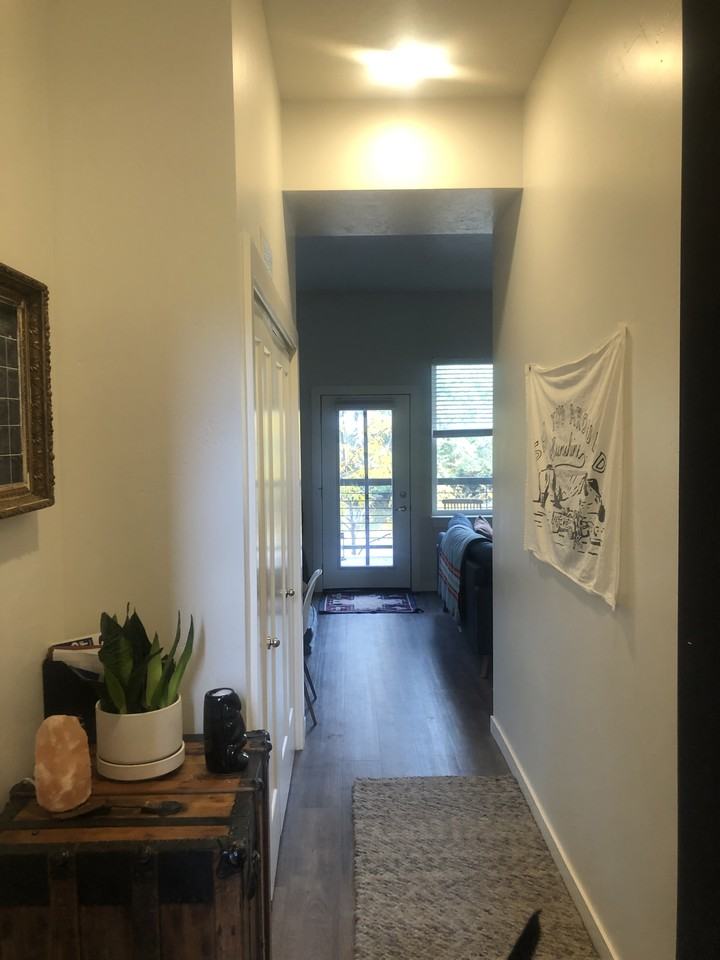 209 Hickory St #209-201 - Photo 6 of 11