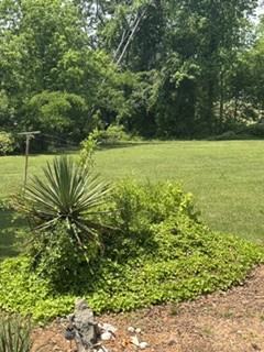 424 Alverson Rd #1 - Photo 2 of 12