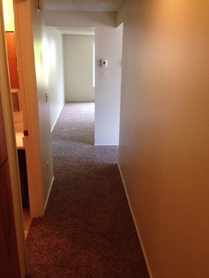 dini01 531 W. 11th Ave - Photo 3 of 29