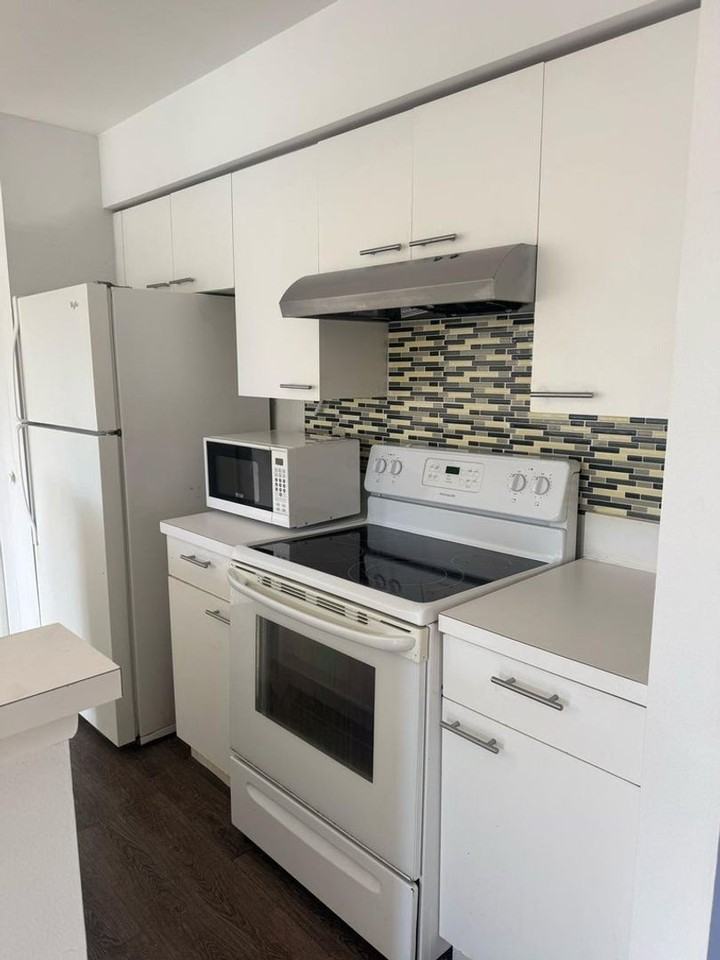 4807 Via Palm Lks #1519 - Photo 4 of 14