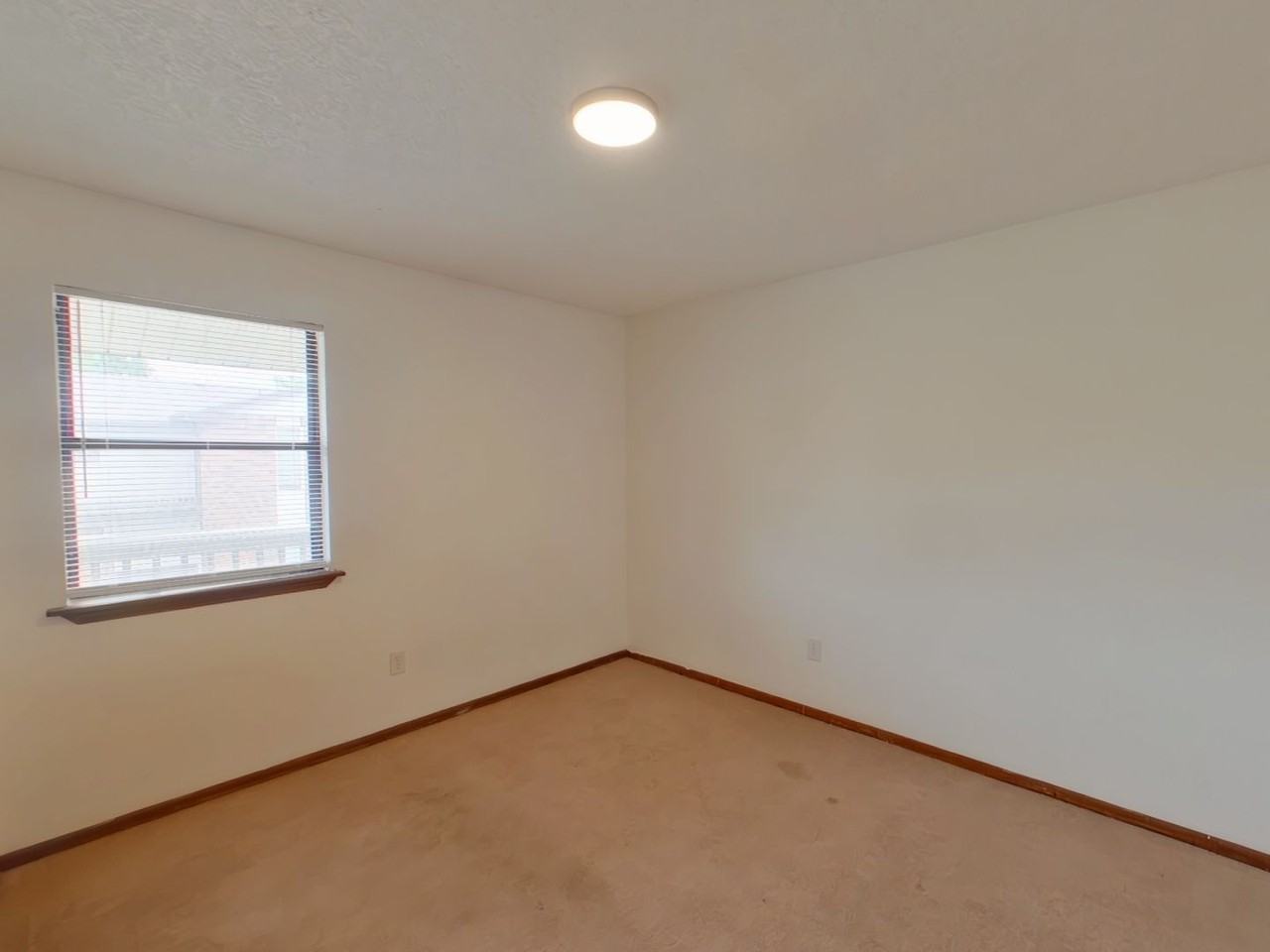 117 N Brunswick St #B - Photo 7 of 9