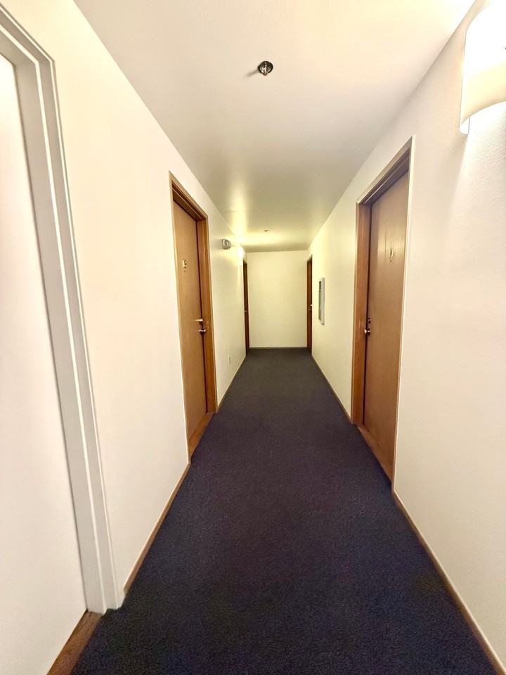 Shannon 2 Apartments - Photo 6 of 24