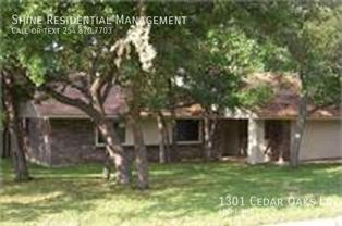 1301 Cedar Oaks Ln - Photo 1 of 1