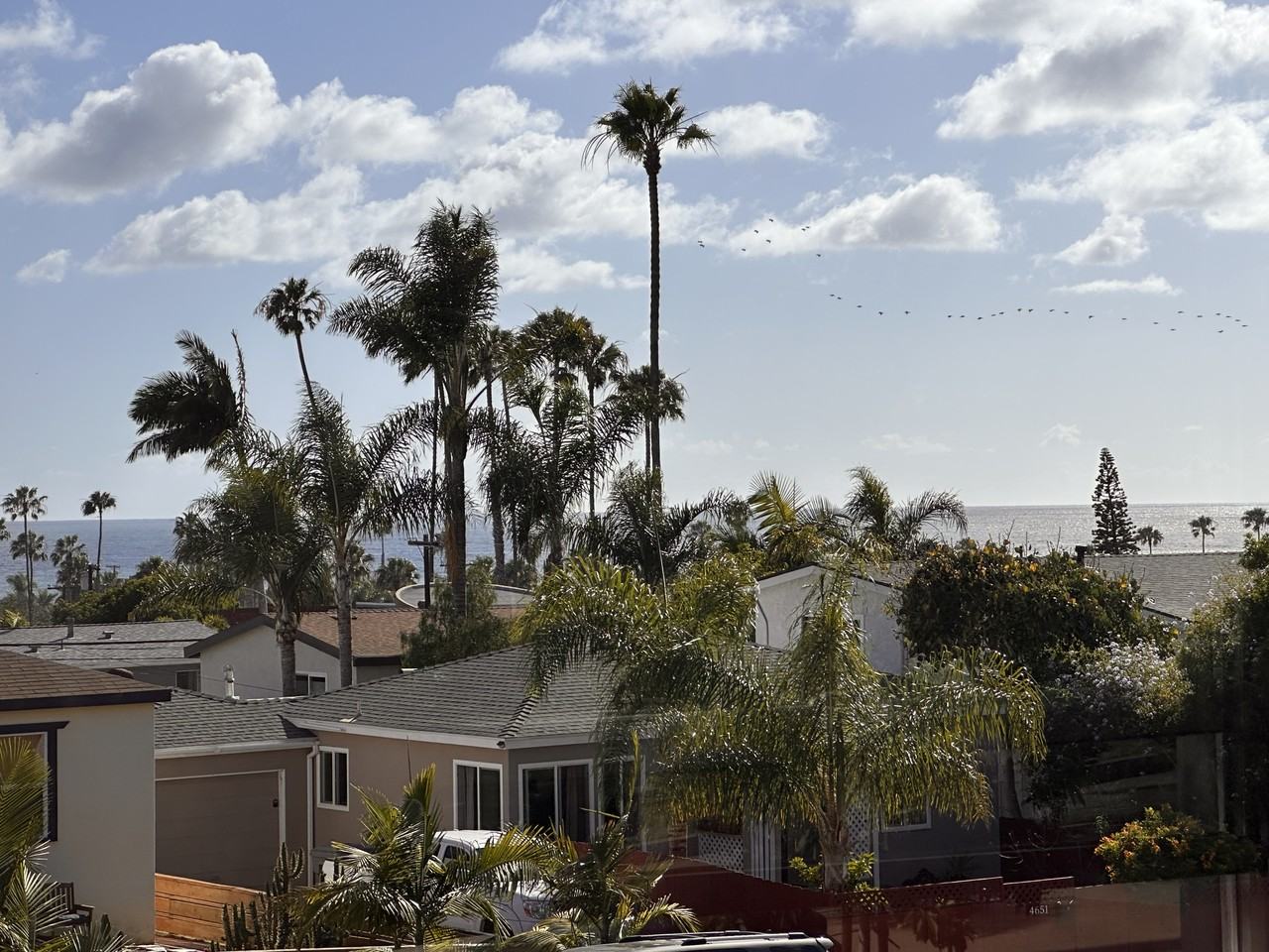 4636 Pescadero Ave #NA - Photo 4 of 21