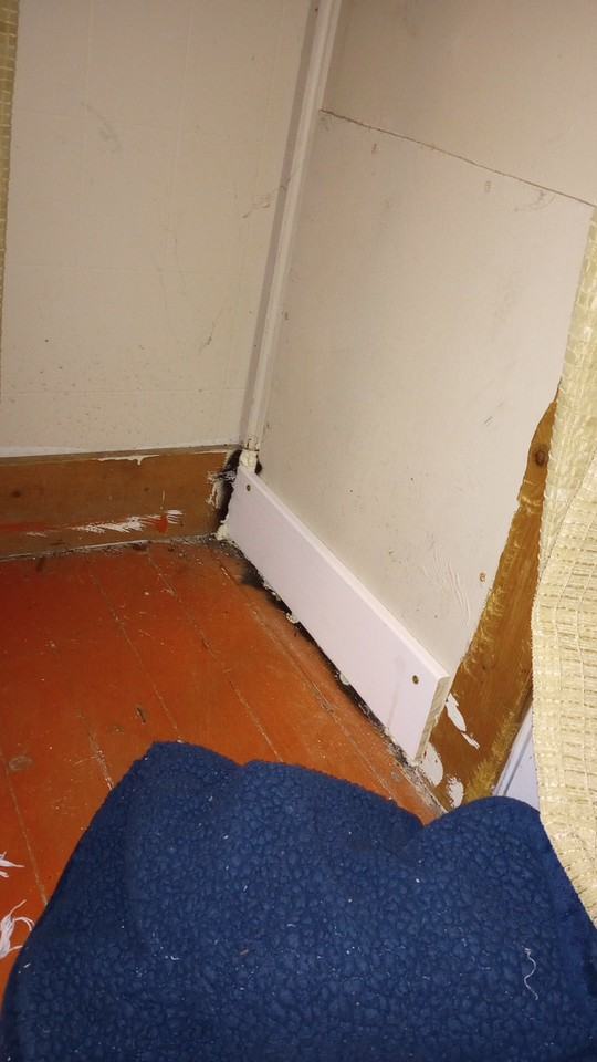 1206 Robinson St - Photo 2 of 15