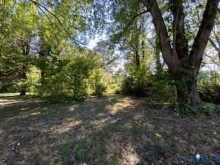 81 Northumberland Dr - Photo 4 of 14