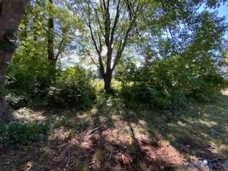 81 Northumberland Dr - Photo 5 of 14