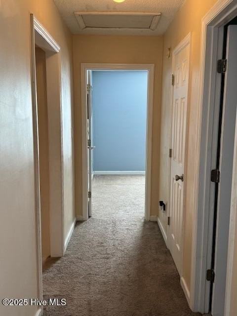 224 Hemlock Dr - Photo 6 of 16