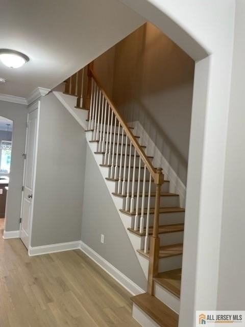 29 Halsey St - Photo 4 of 19