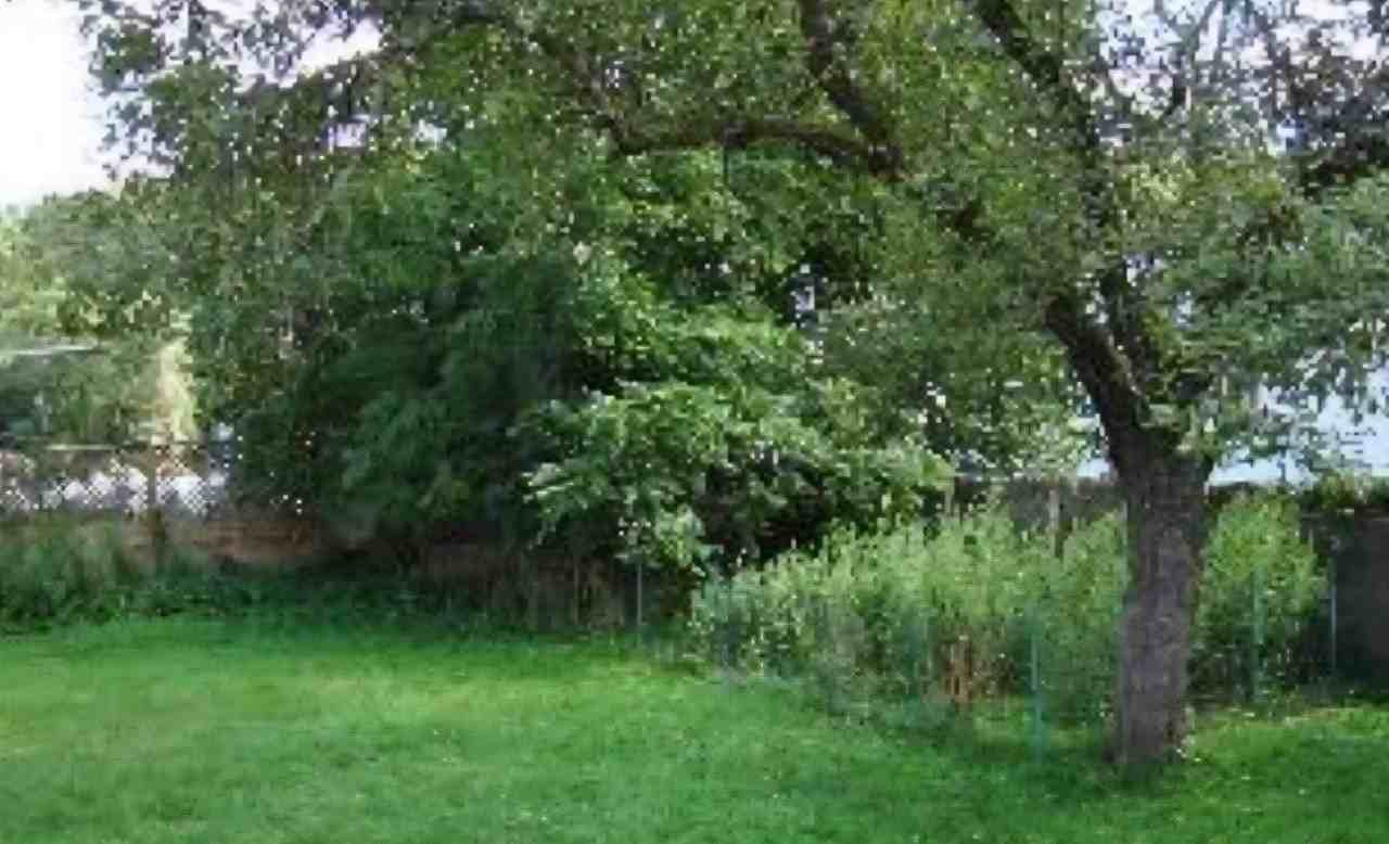 24 Jefferson Ave - Photo 2 of 11