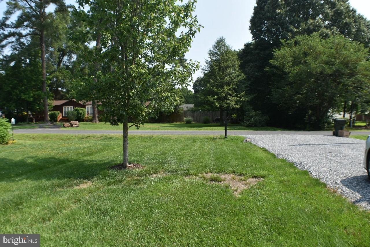 305 Cedar Ln - Photo 4 of 36