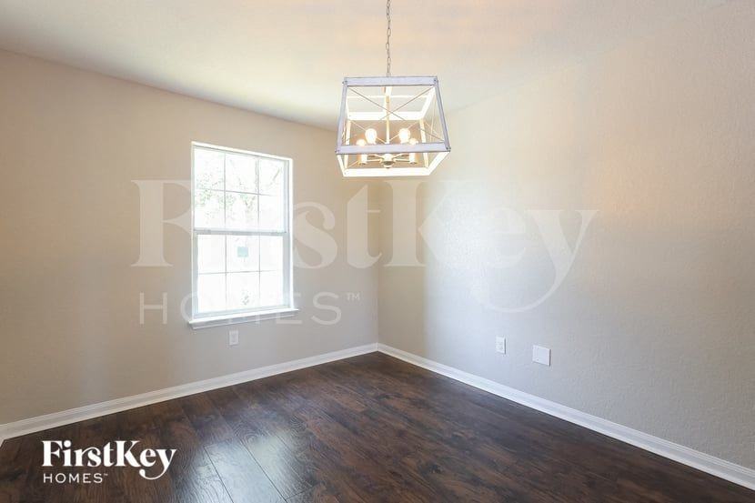 11803 Luckey Vis - Photo 5 of 15