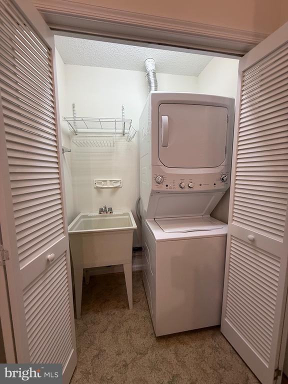 11707 Collinwood Ct - Photo 7 of 16
