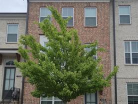 1318 Bennett Creek Overlook - Photo 1 of 1