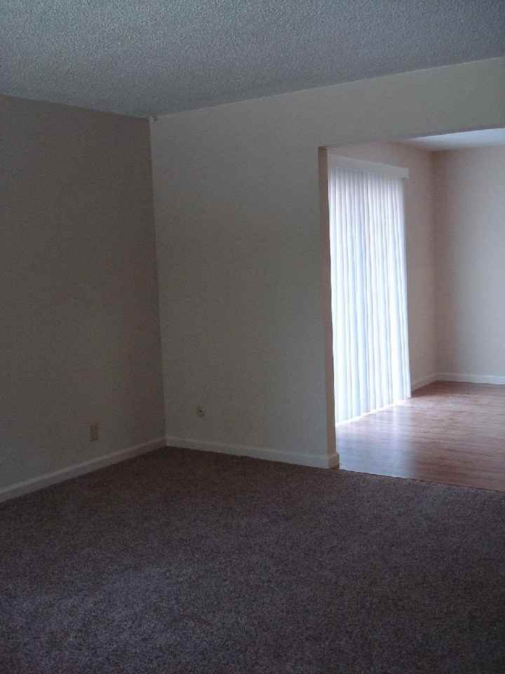 5402 Mona Way - Photo 5 of 11