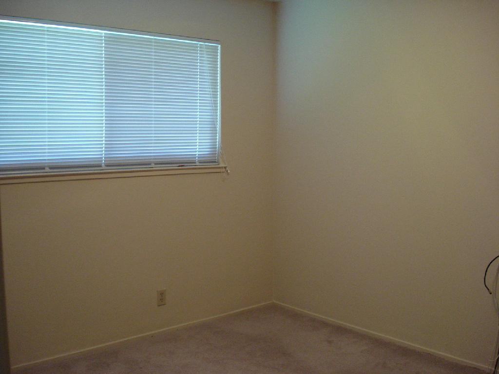 5402 Mona Way - Photo 6 of 11