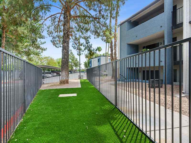 Portola East Mesa - Photo 4 of 21