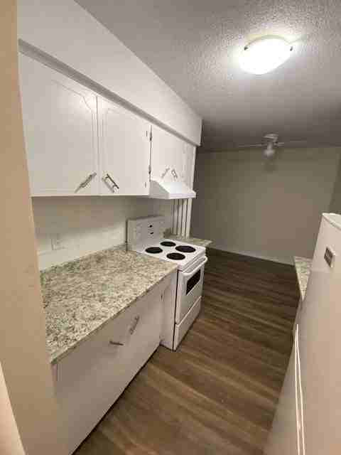 Mapleview Place - Photo 6 of 17