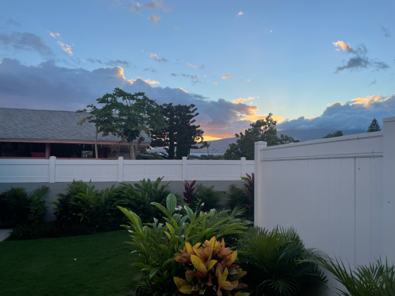 354 Kaiwahine St - Photo 2 of 21