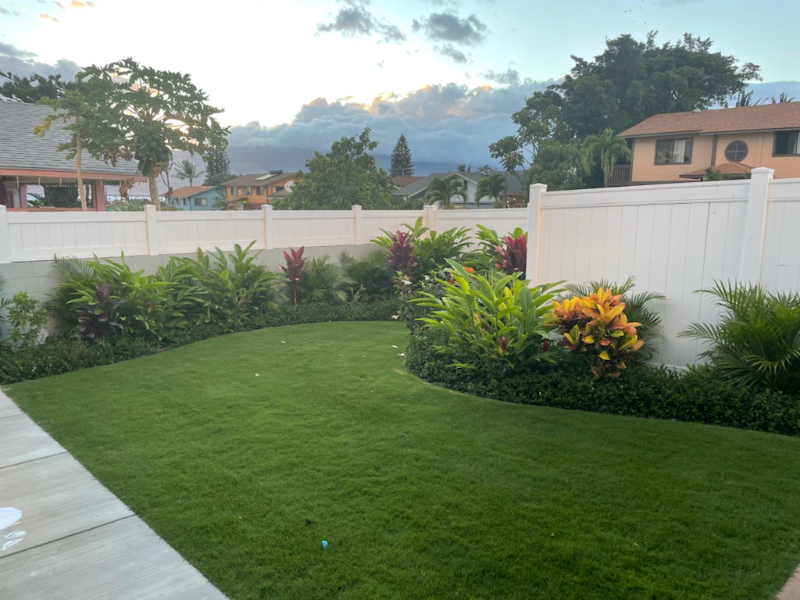 354 Kaiwahine St - Photo 3 of 21