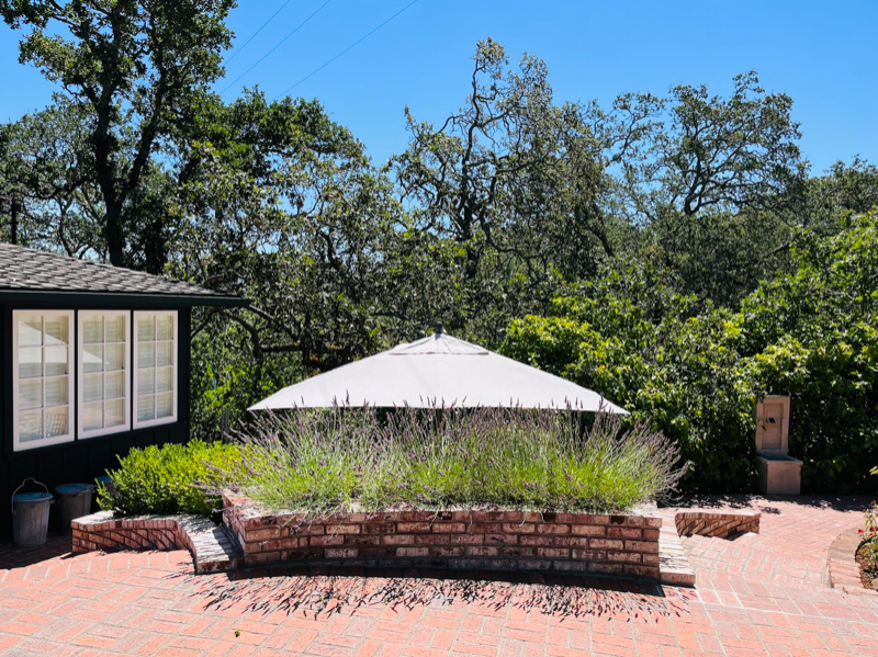 1505 Sobre Vista Rd - Photo 5 of 44