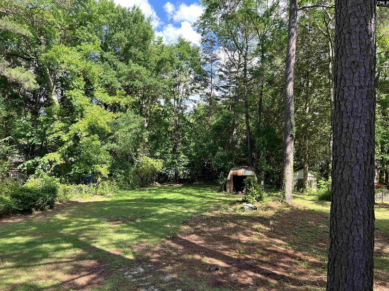 22 Dean Crest Ct - Photo 4 of 20