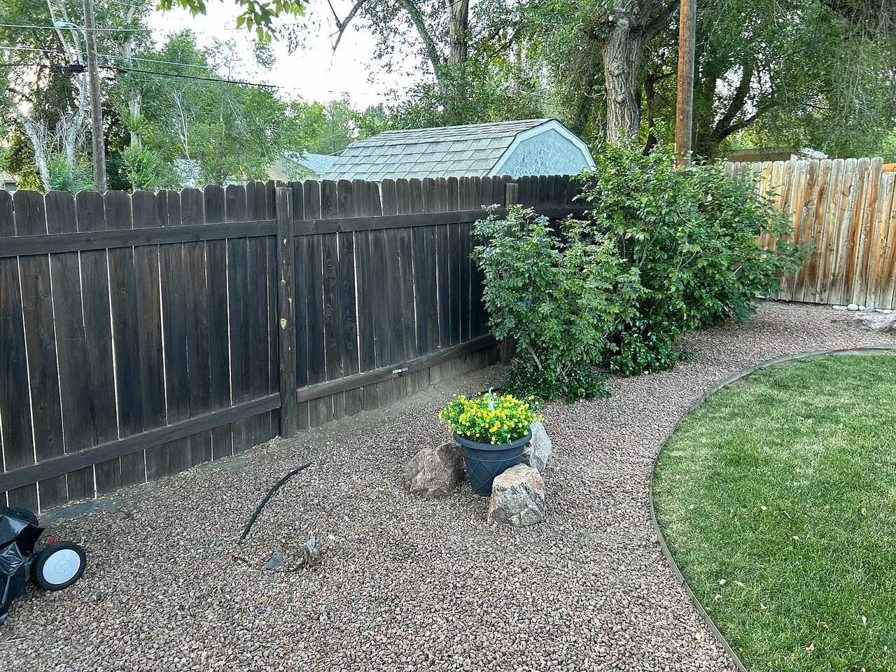 2330 E Yampa St #1 - Photo 7 of 14