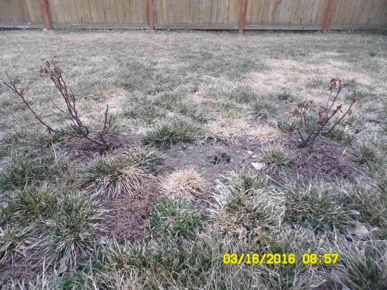 1215 Idaho St #B - Photo 2 of 50