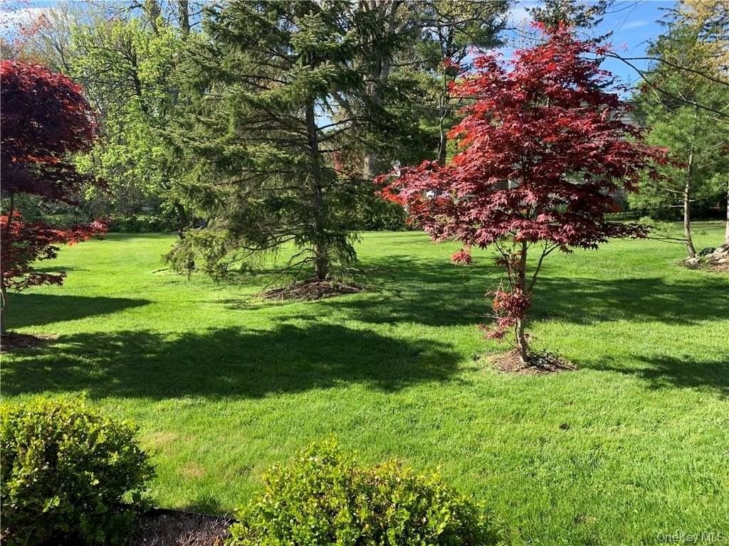 10 W Clarkstown Rd - Photo 2 of 19