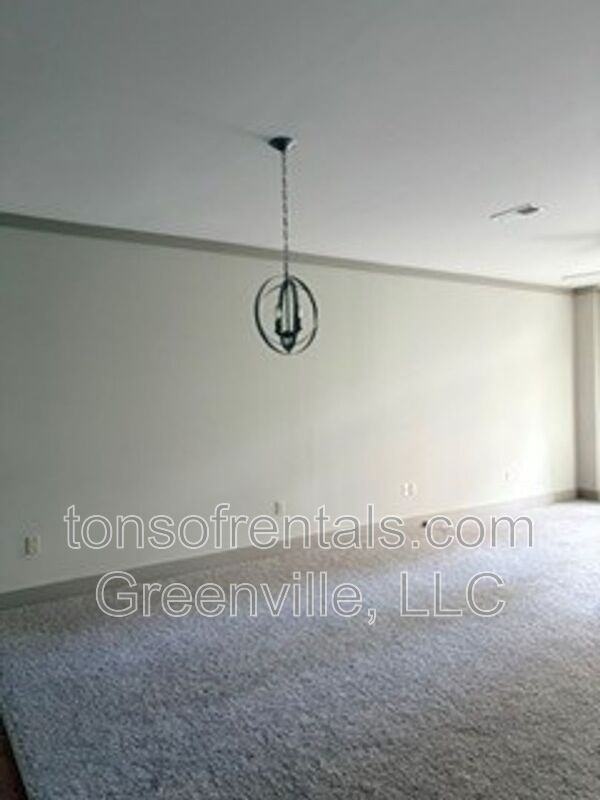 98 E Mcbee Ave #313 - Photo 4 of 16