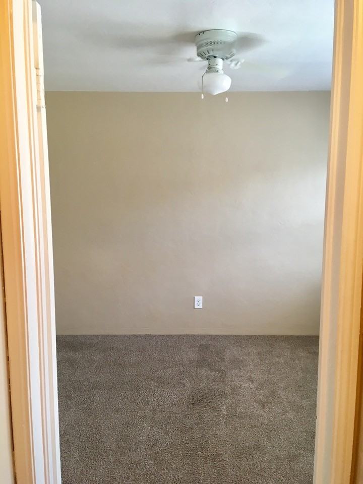 5289 - Photo 5 of 12