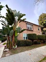4. 2459 Cedar - Photo 1 of 1