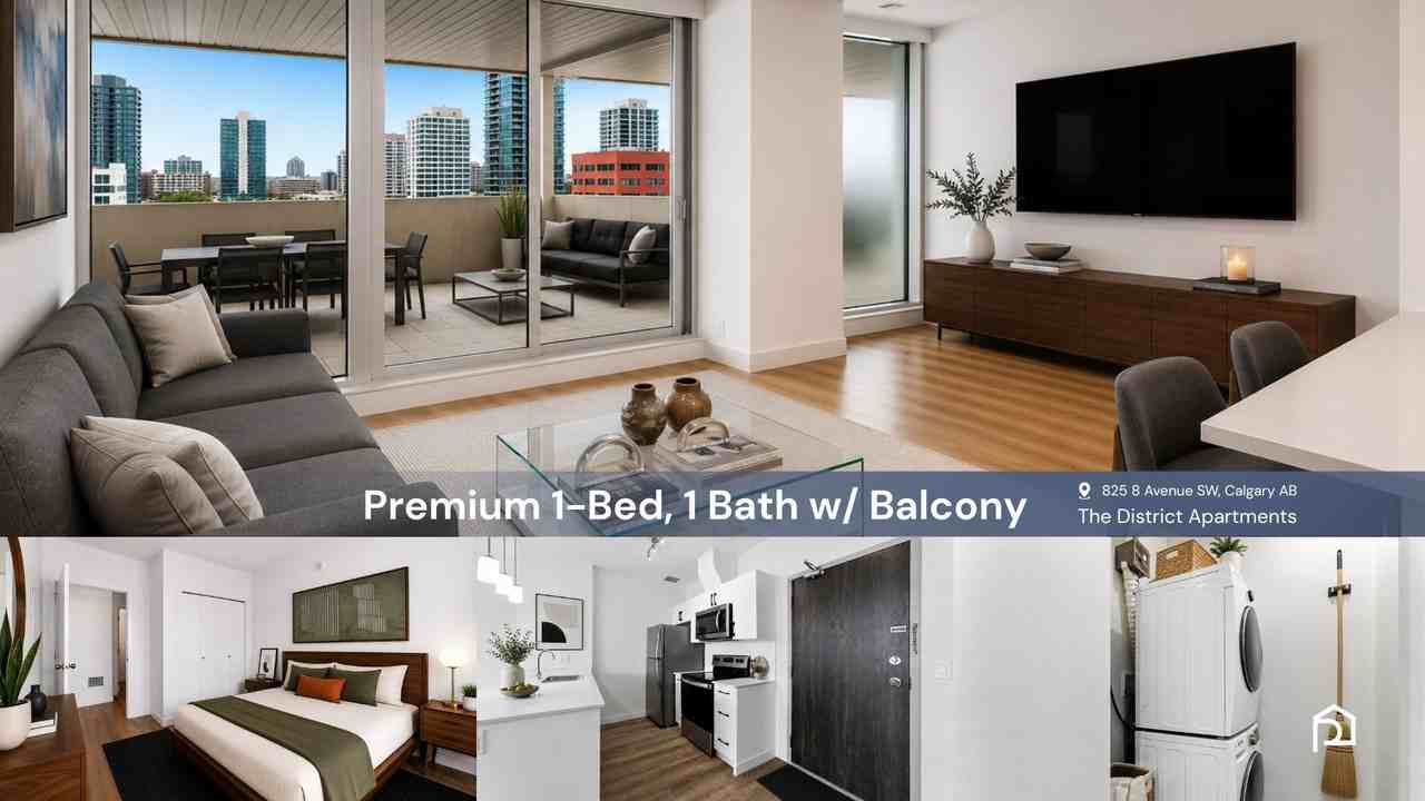 The District Apartments - Photo 5 of 50