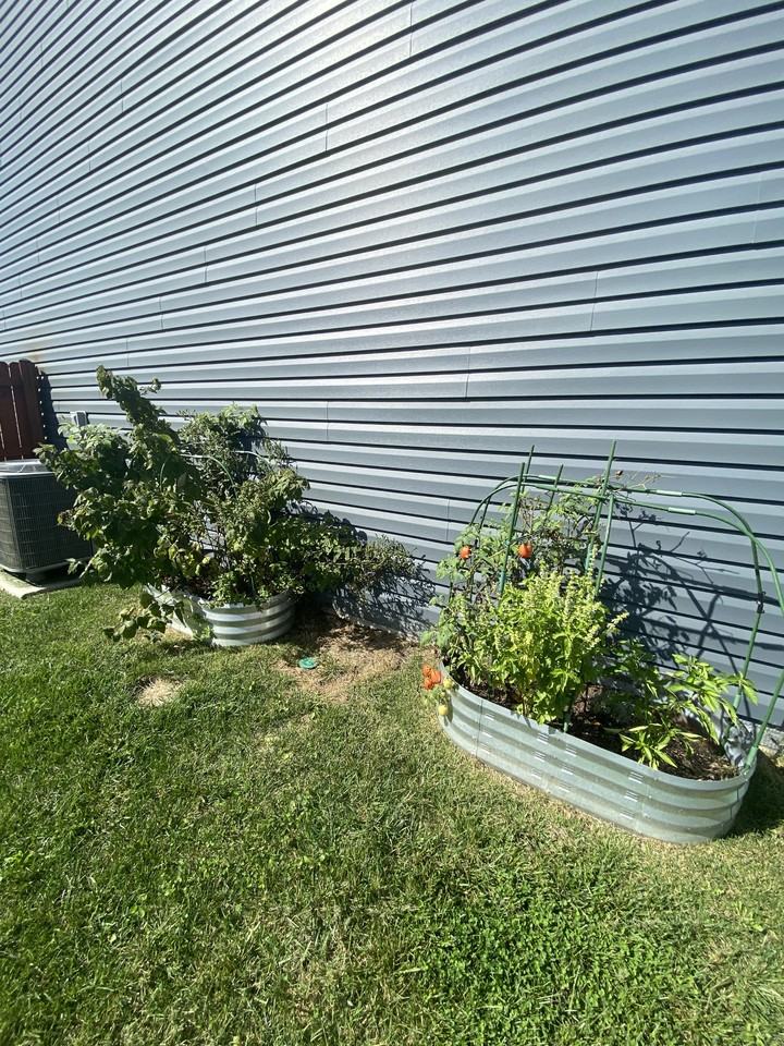 214 Gumspring Drive, Charles Town, WV 25414 #1 - Photo 7 of 29