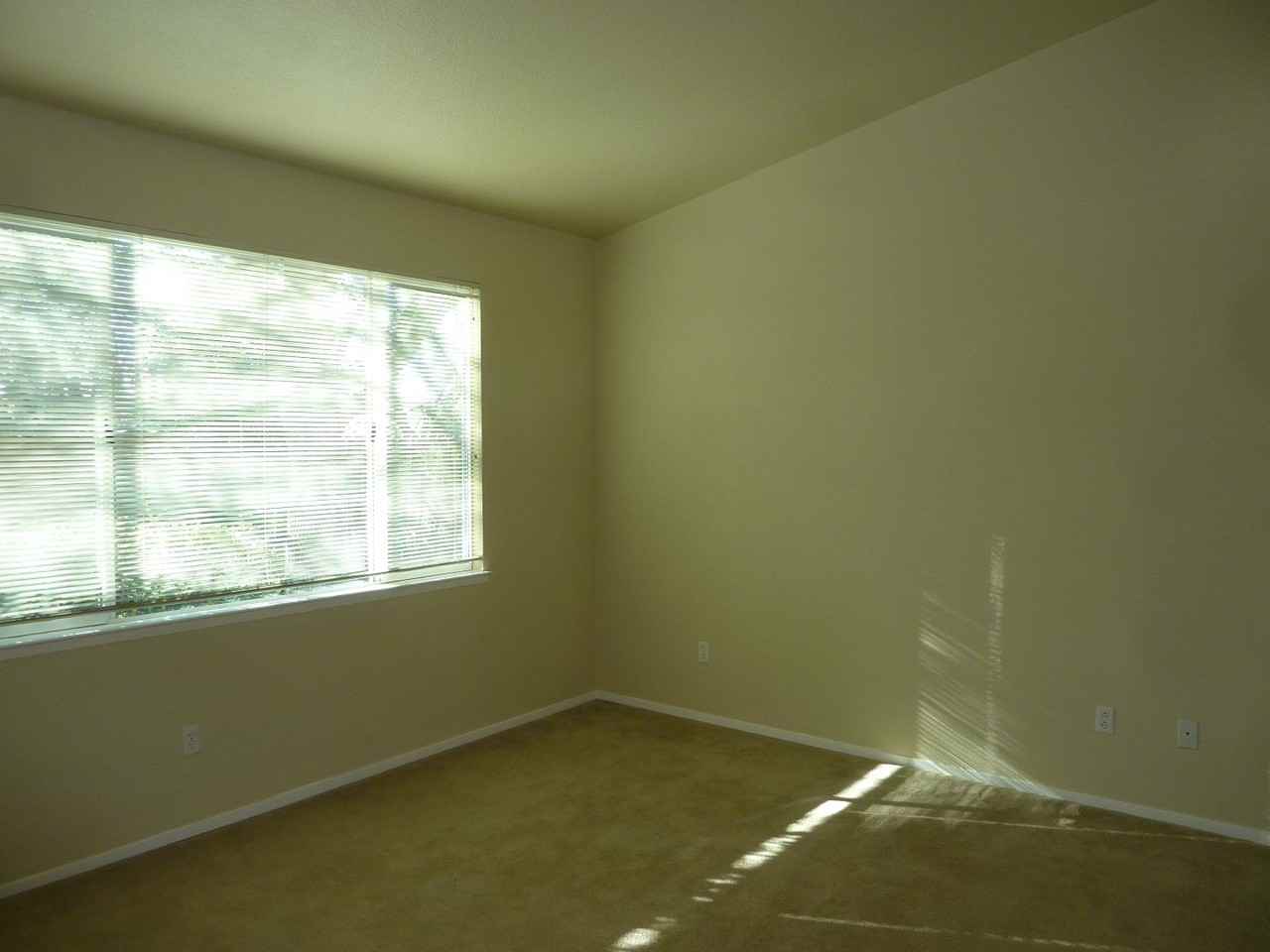 140 Oxburough Dr - Photo 6 of 10