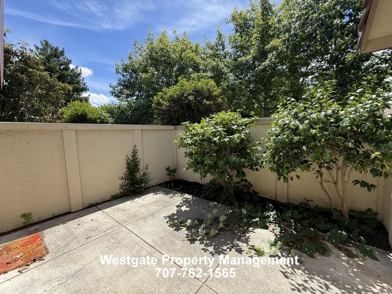 240 Park Place Dr - Photo 2 of 12