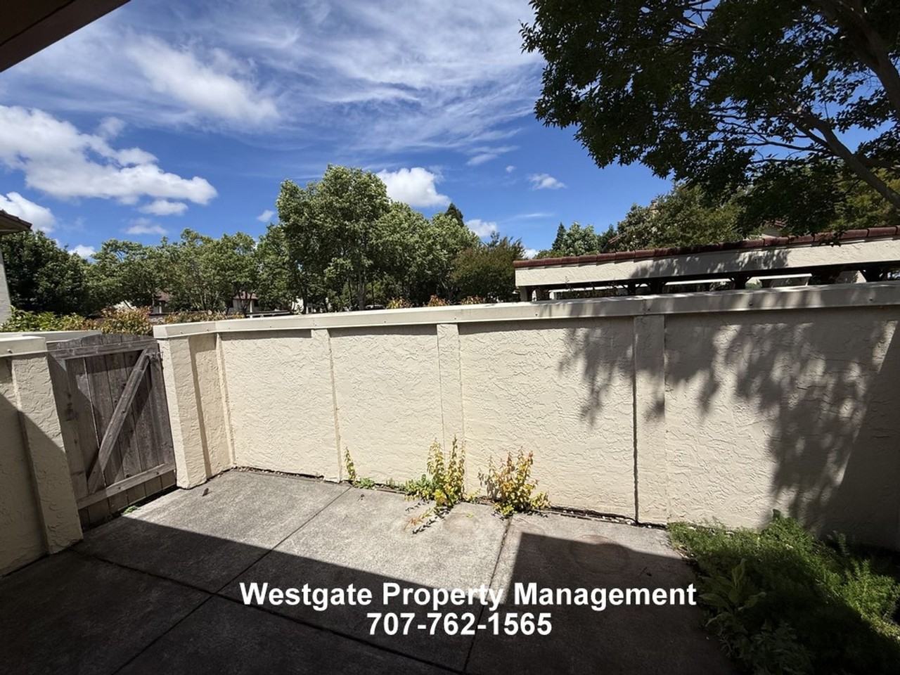240 Park Place Dr - Photo 7 of 12