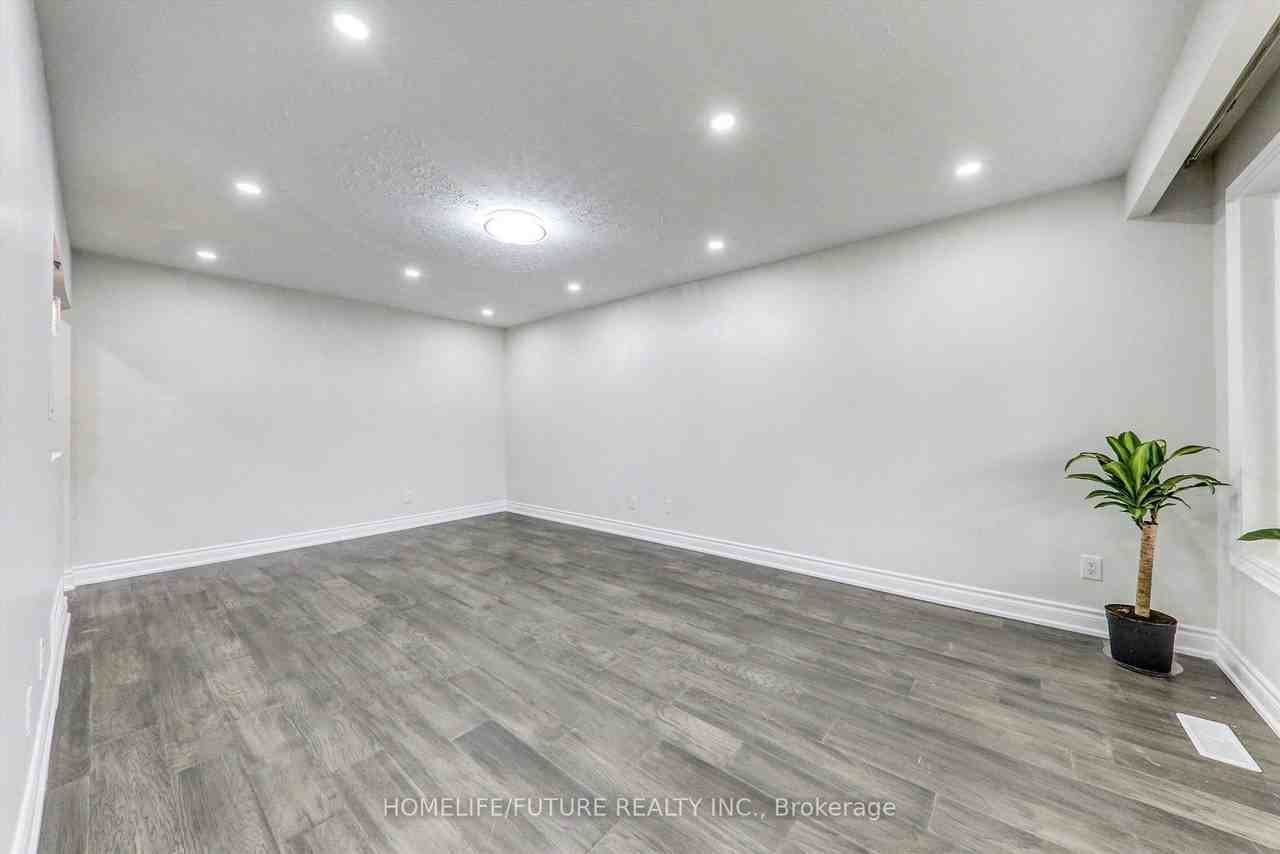 66 Valdez Crt #MAIN - Photo 6 of 15