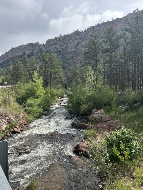 2156 Lefthand Canyon Dr - Photo 4 of 7