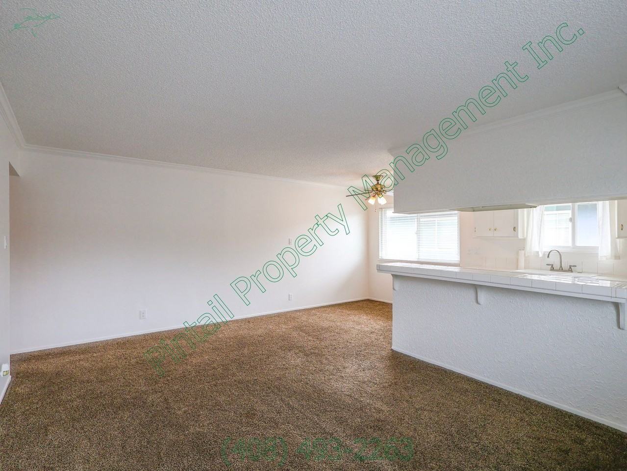 4771 Capay Dr #4 - Photo 3 of 12