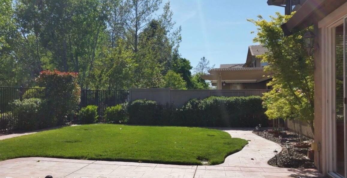 1145 Fergusen Way - Photo 3 of 19