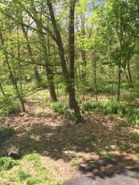 24 Riverside Dr #NA - Photo 1 of 1